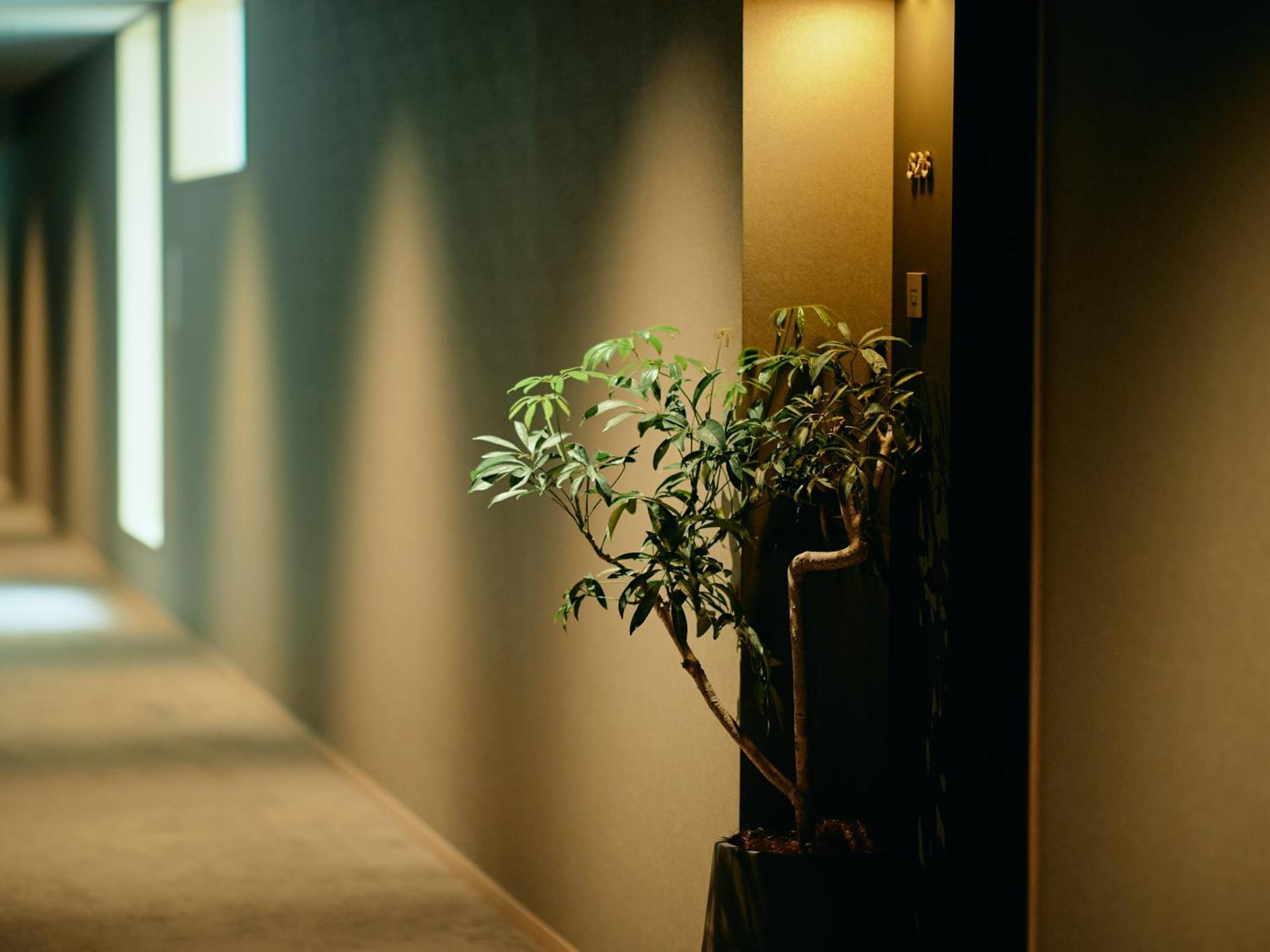 Good Nature Hotel Kyoto Oda fotoğraf A corridor in a hotel