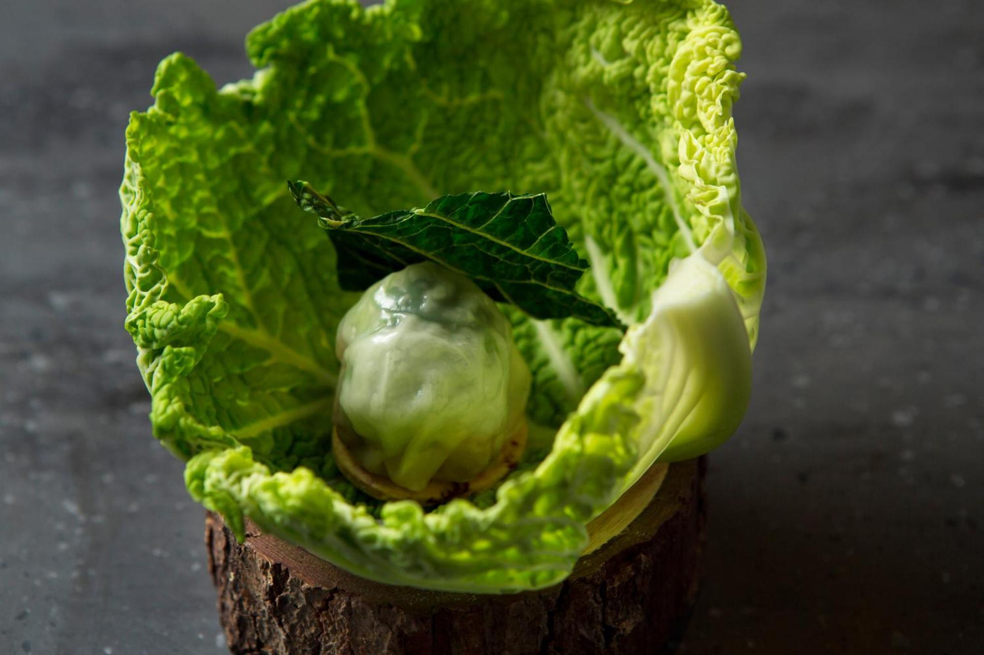 Good Nature Hotel Kyoto Dış mekan fotoğraf A cabbage leaf with a ball of ice